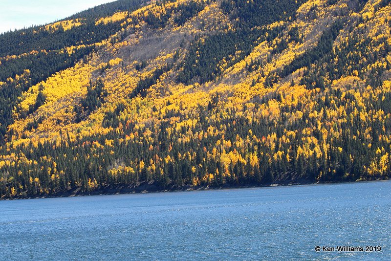 Fall Foliage, South of Aspen, CO, 10-1-19, Jz_41232.jpg