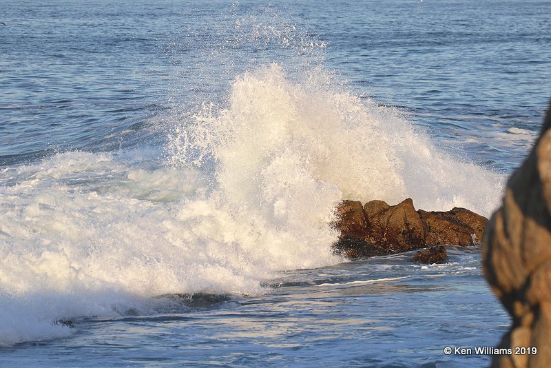 Wave Action, Monterey, CA, 9-26-19, Jz_04374.jpg