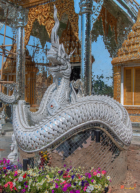 Wat Pa Sang Ngam Buddha Image Hall Makara and Naga Guardian (DTHLU0593)