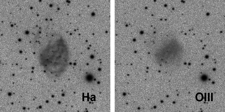HDW 6 Inverted