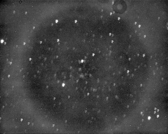 ten_lights_of_CorBor_Cluster_no_calibration.jpg
