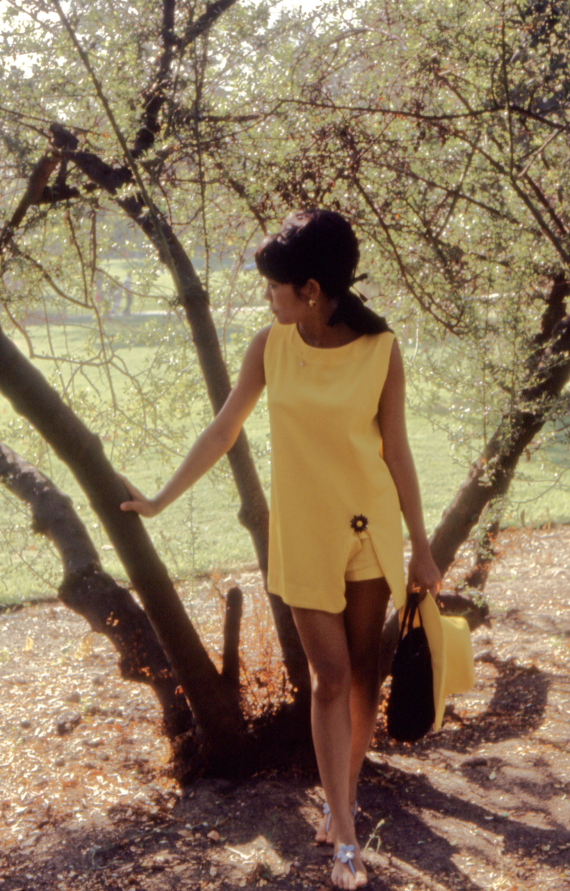 bev-y-10-pe_800.JPG