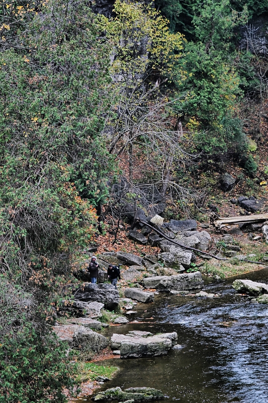 Elora 22.jpg