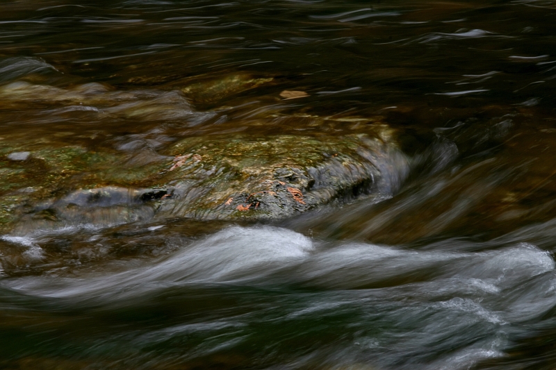 Elora 24.jpg