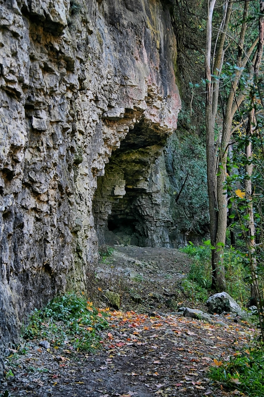 Elora 29.jpg