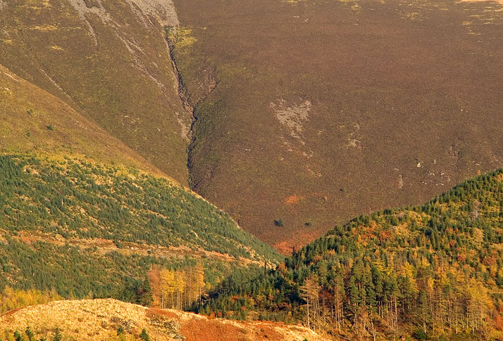 Skiddaw Close Up