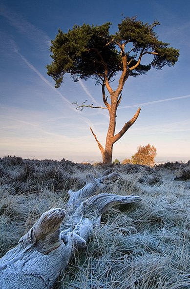 Broc Hill with Frost