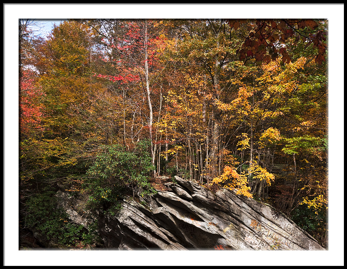 Rock Folds and Fall Color