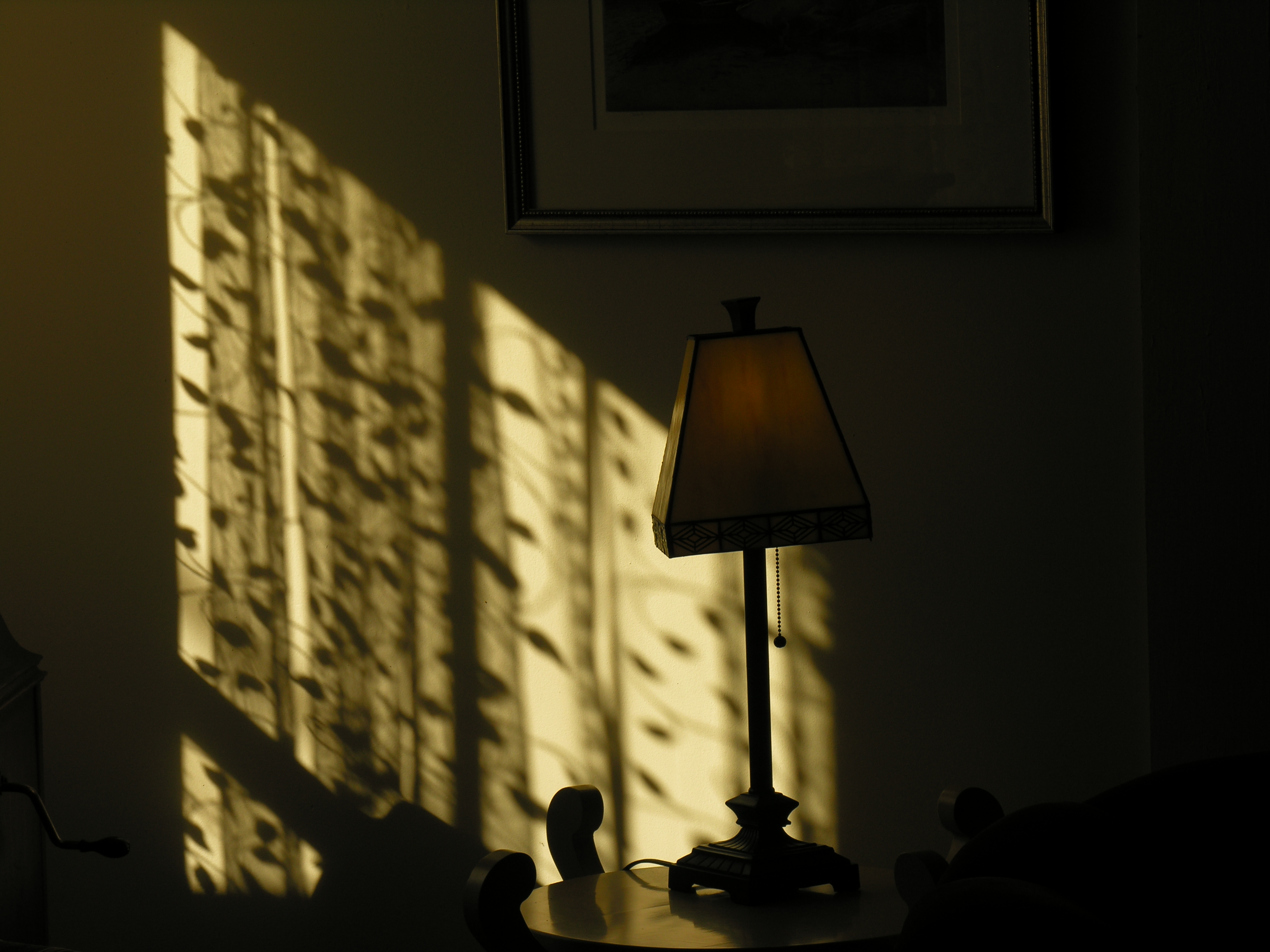 DSCN0569.JPG