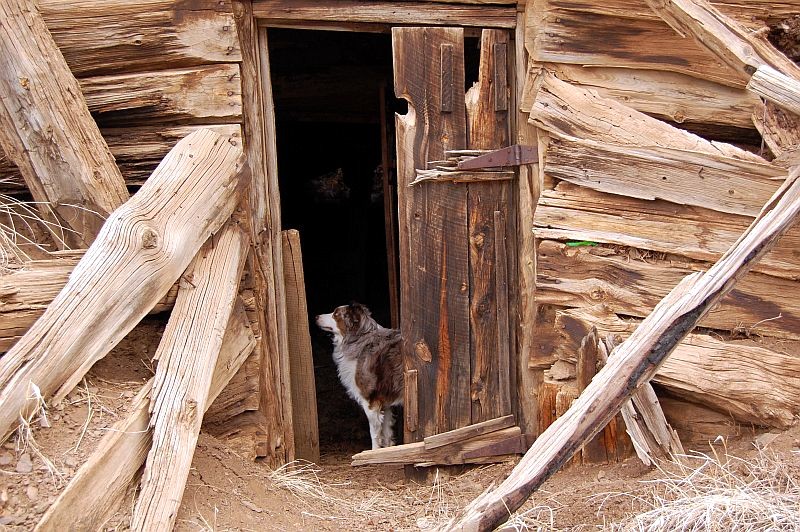 Root Cellar