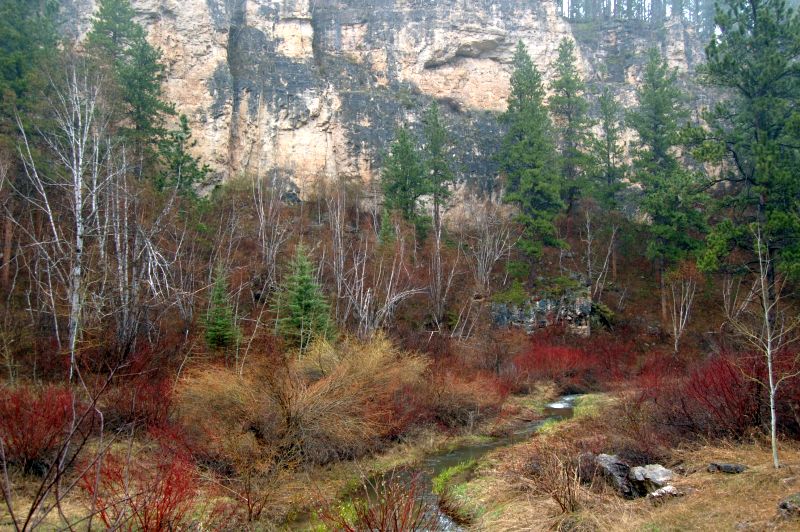Little Spearfish