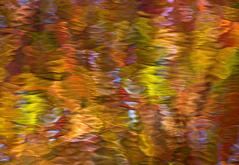 Rivers Reflection    # 1177  (see others in fall 08 gallery)