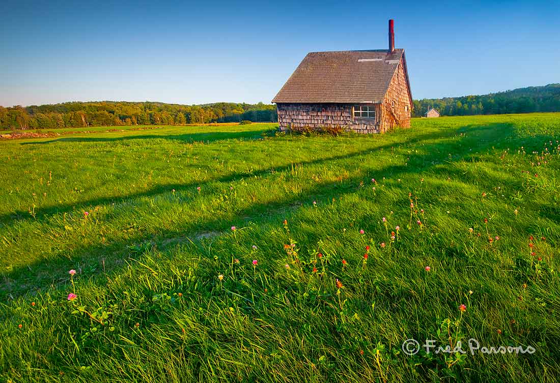 MG_8758 Hersey Farm  #1