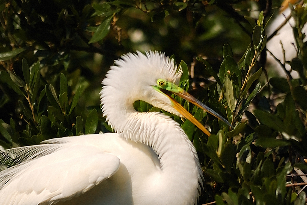 DSC_2067-p.jpg