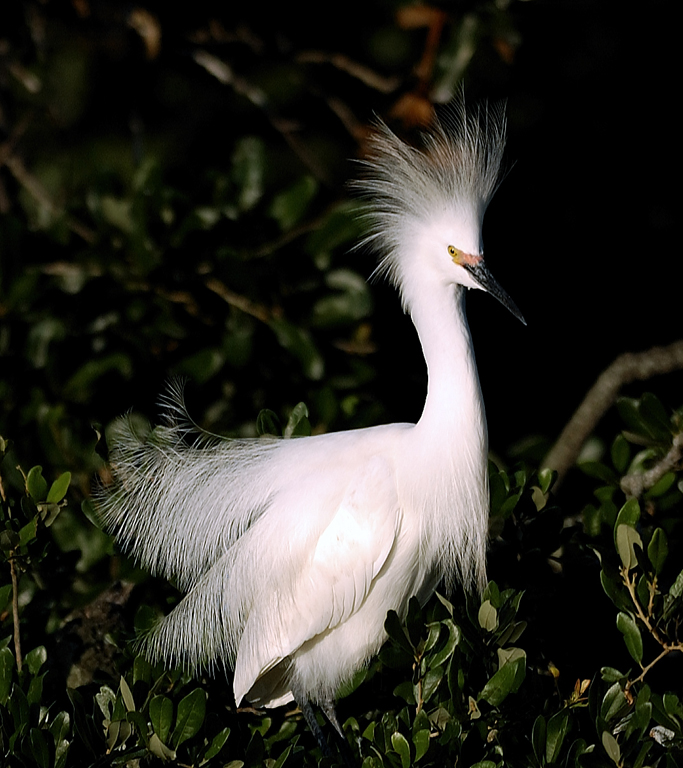 DSC_2315-p.jpg