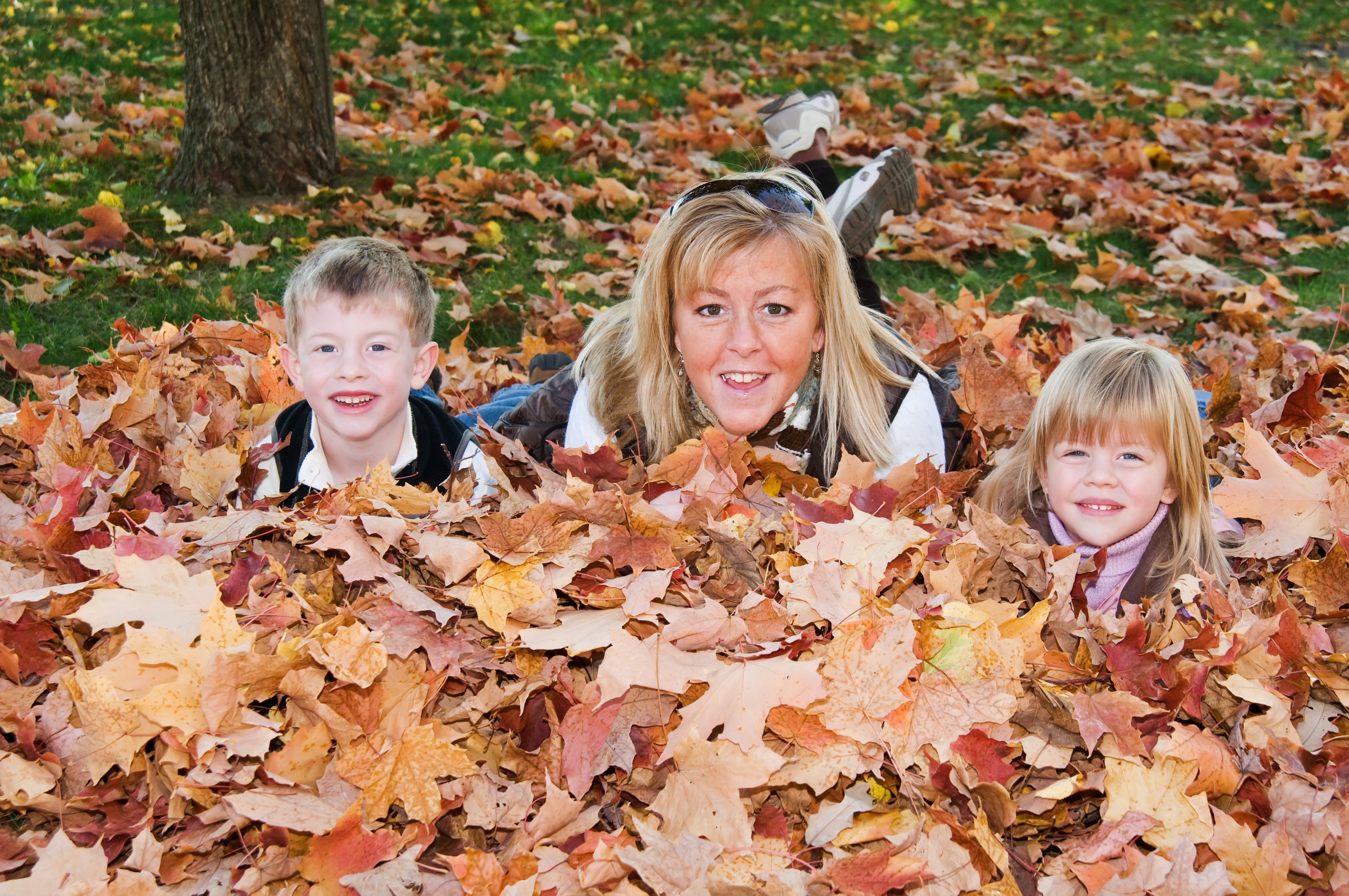 Leaf bonanza!