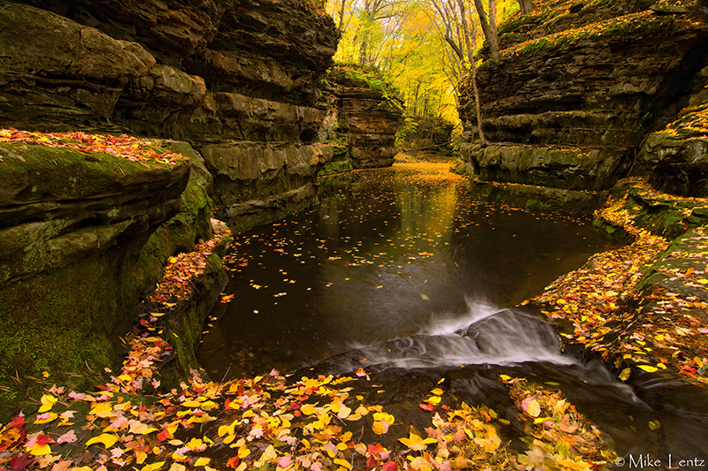 Fall flow