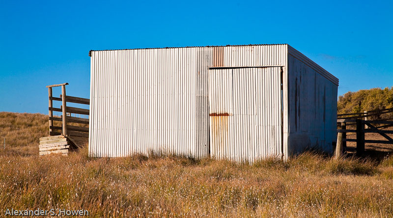 Tin shed