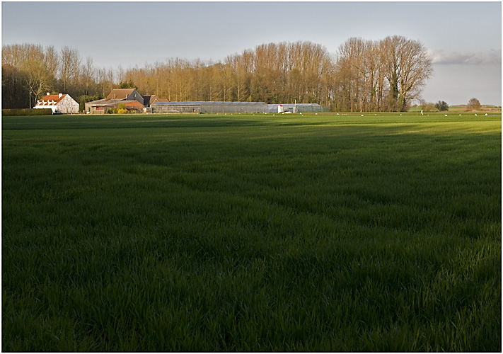 De Wijkhuizen