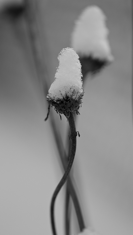 Day 058 <br> Snow Hats