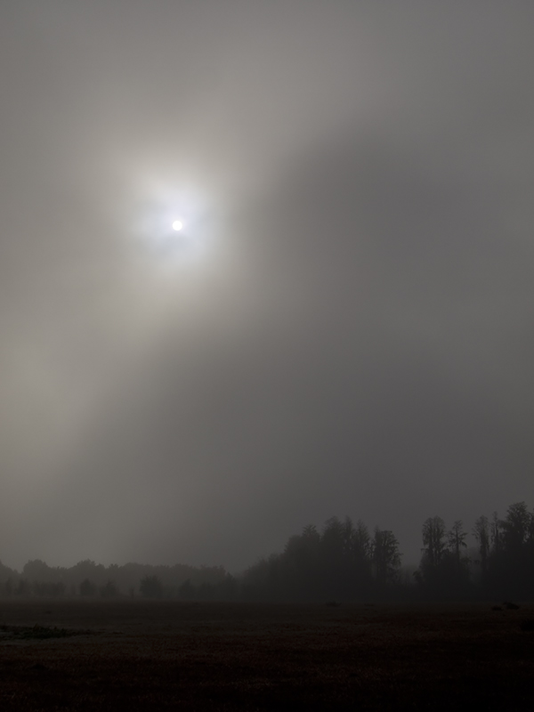 Morning mist and cloudy skies