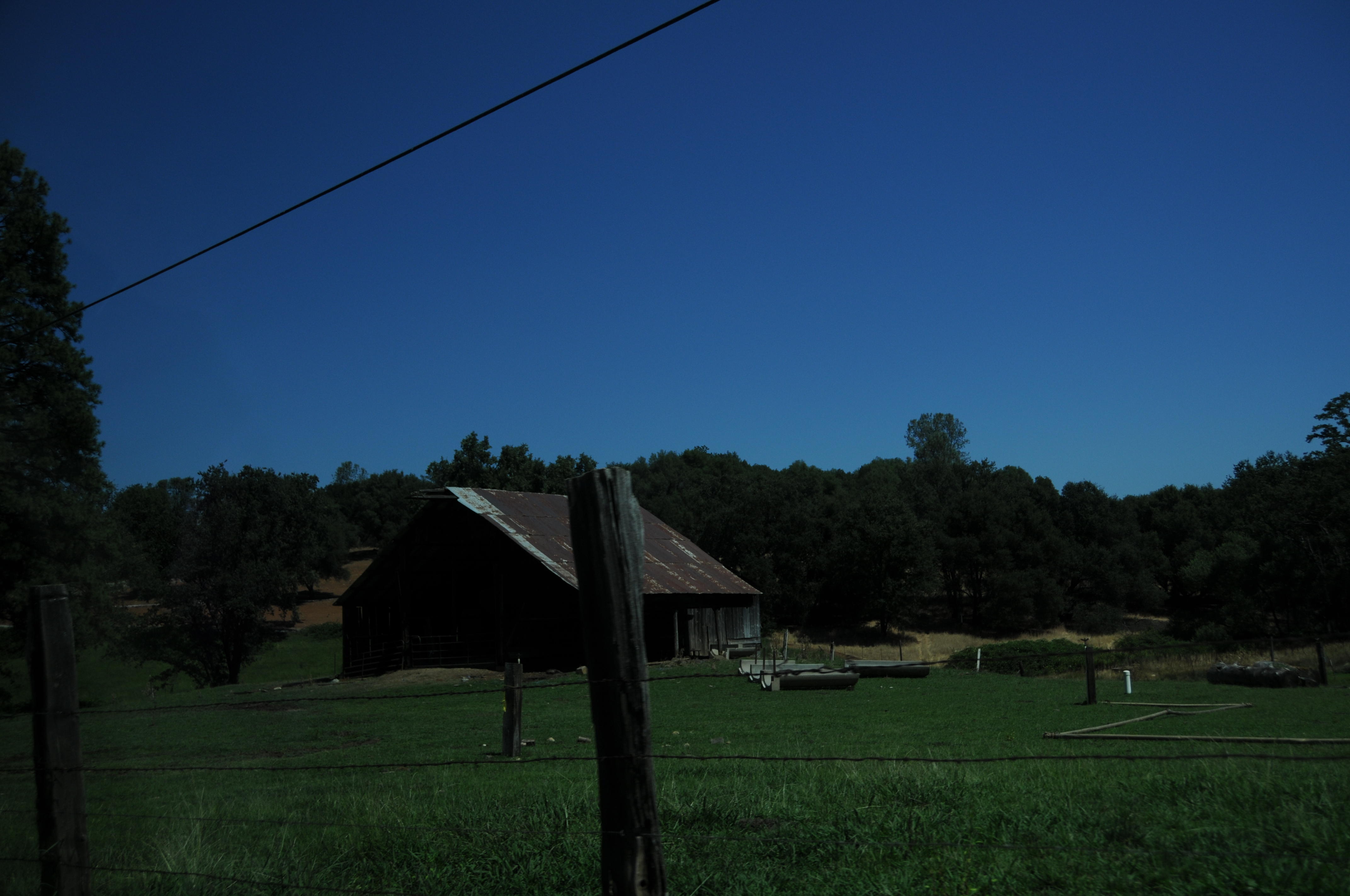 DSC_4418.JPG