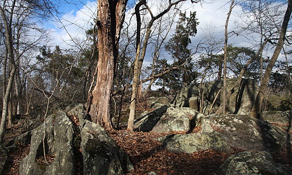 Great Falls of the Potomac N.P,