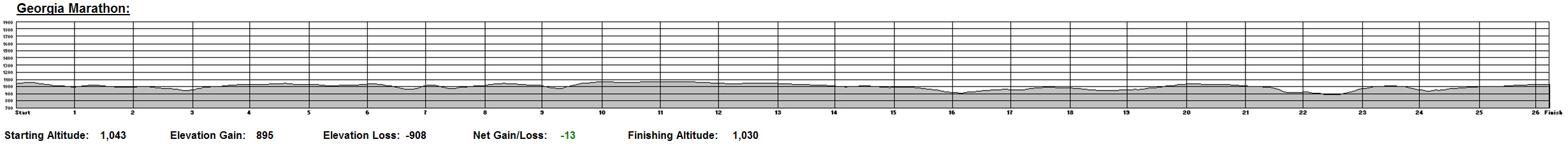 Georgia Marathon