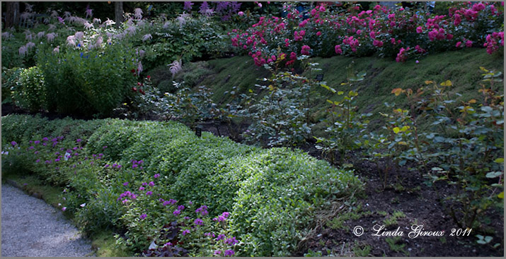 Jardins de Mtis