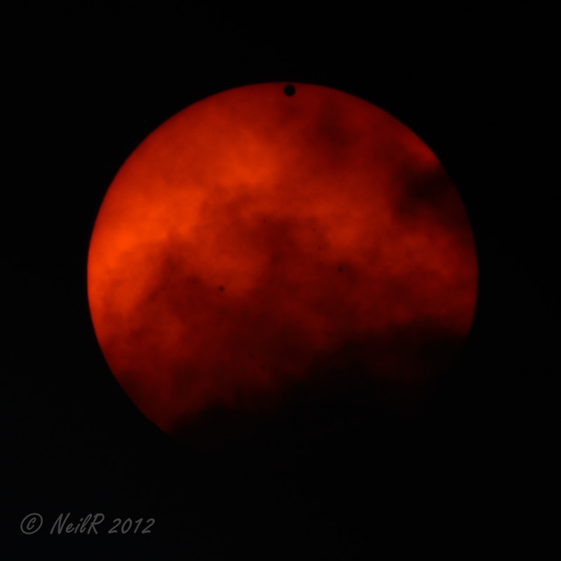 DSCN_279084.JPG