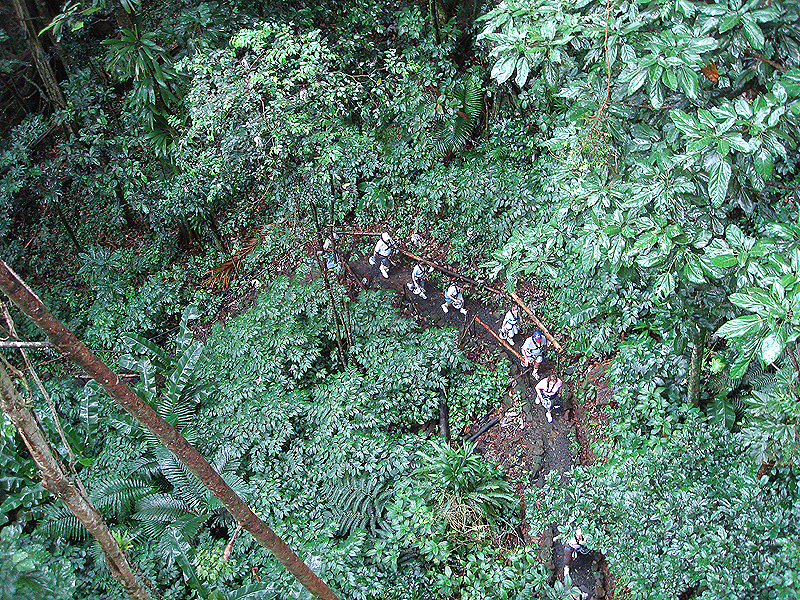 Hiking to the zip line.