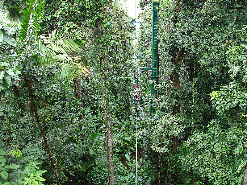 Another view from the sky ride.