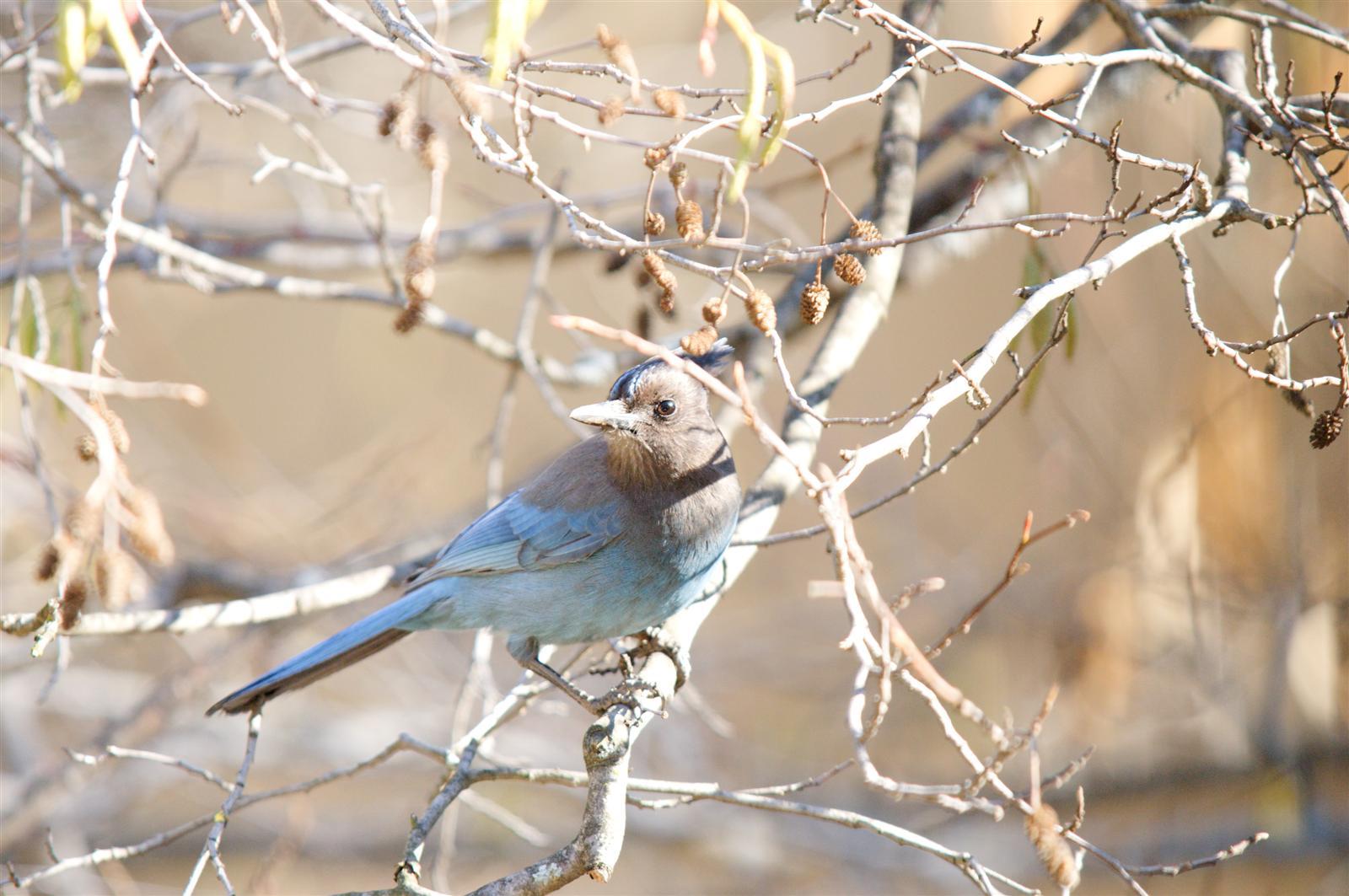 And another scrub waiting his turn