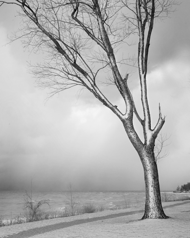 IMG_6052web.jpg