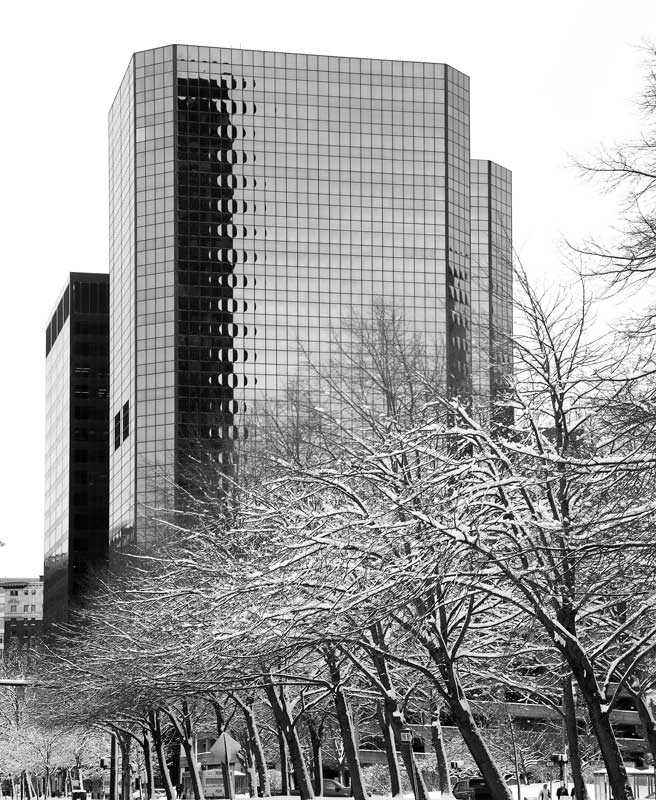 IMG_6694web.jpg
