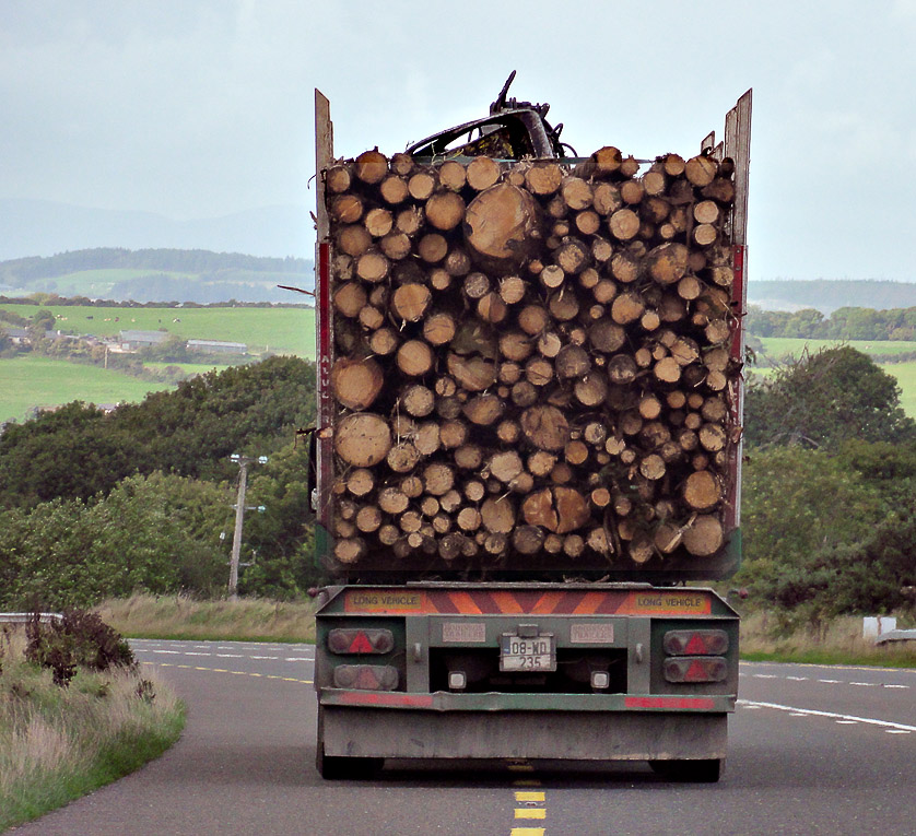 Knock on wood