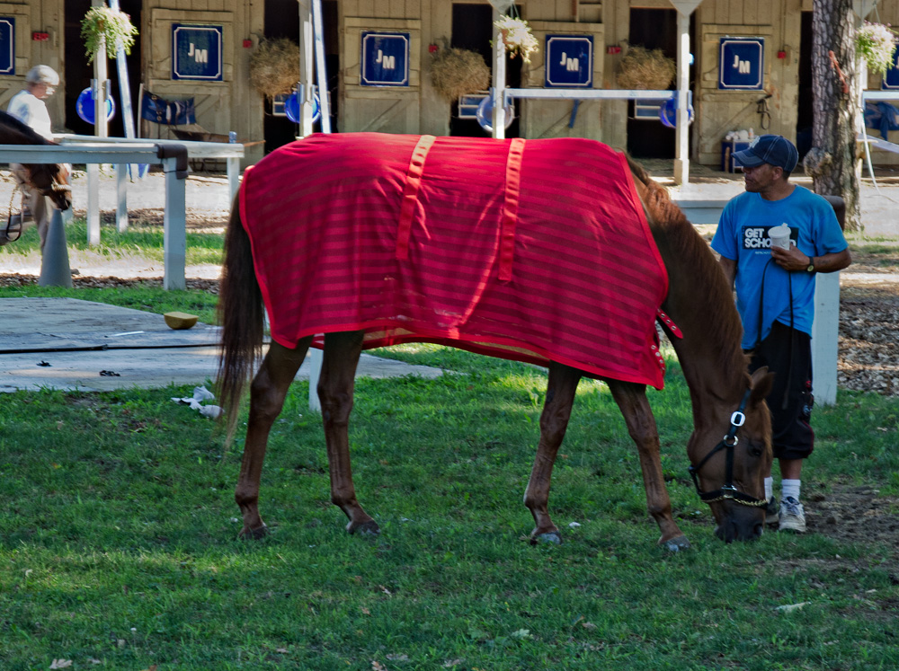 Morning at the Backstretch - Saratoga Race Course