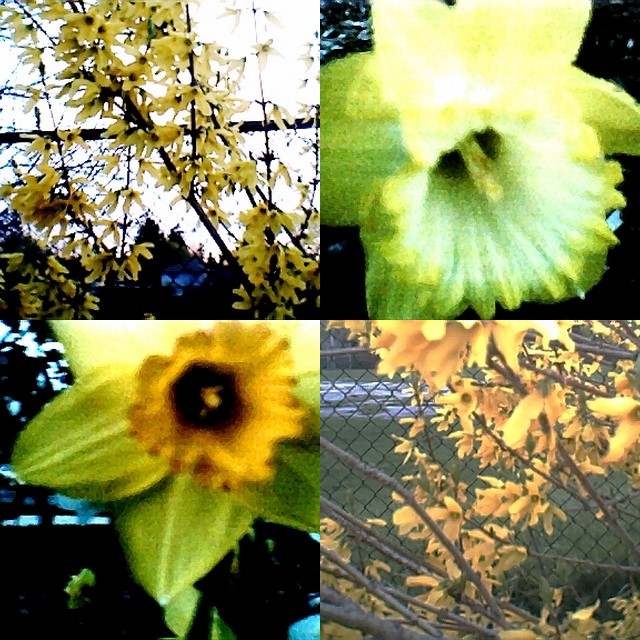 collage112.jpg