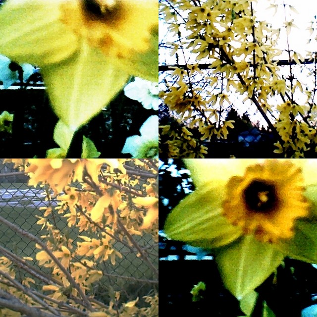 collage114.jpg