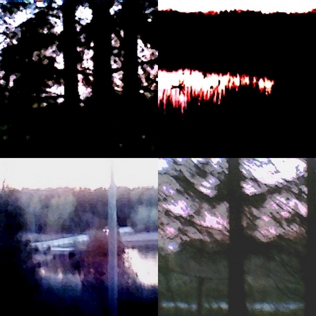 collage125.jpg