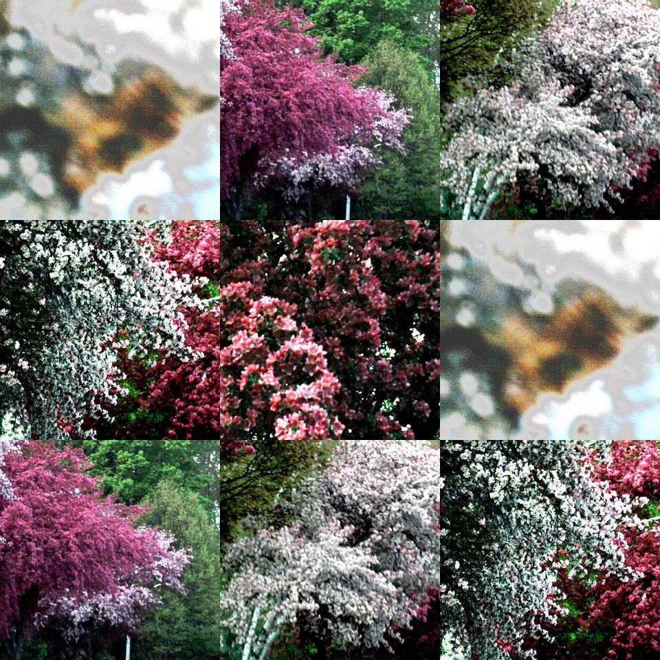 collage128.jpg