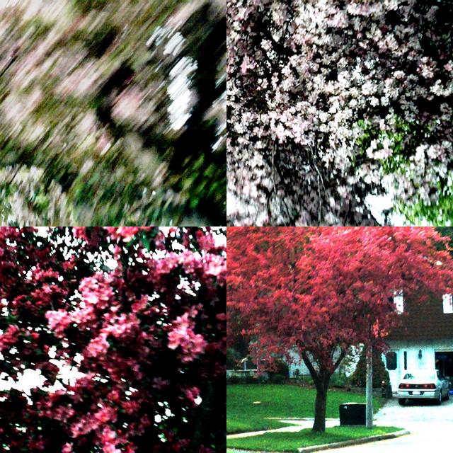 collage135.jpg