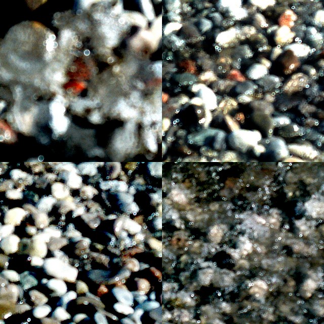 collage138.jpg