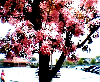 003.jpg