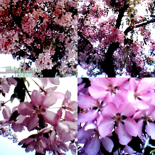 collage150.jpg