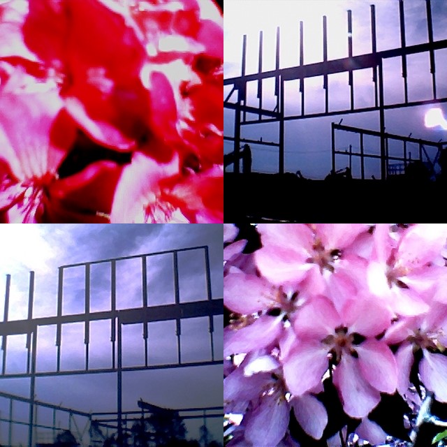 collage161.jpg