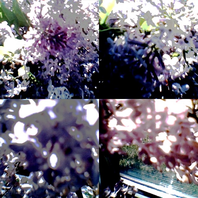 collage166.jpg