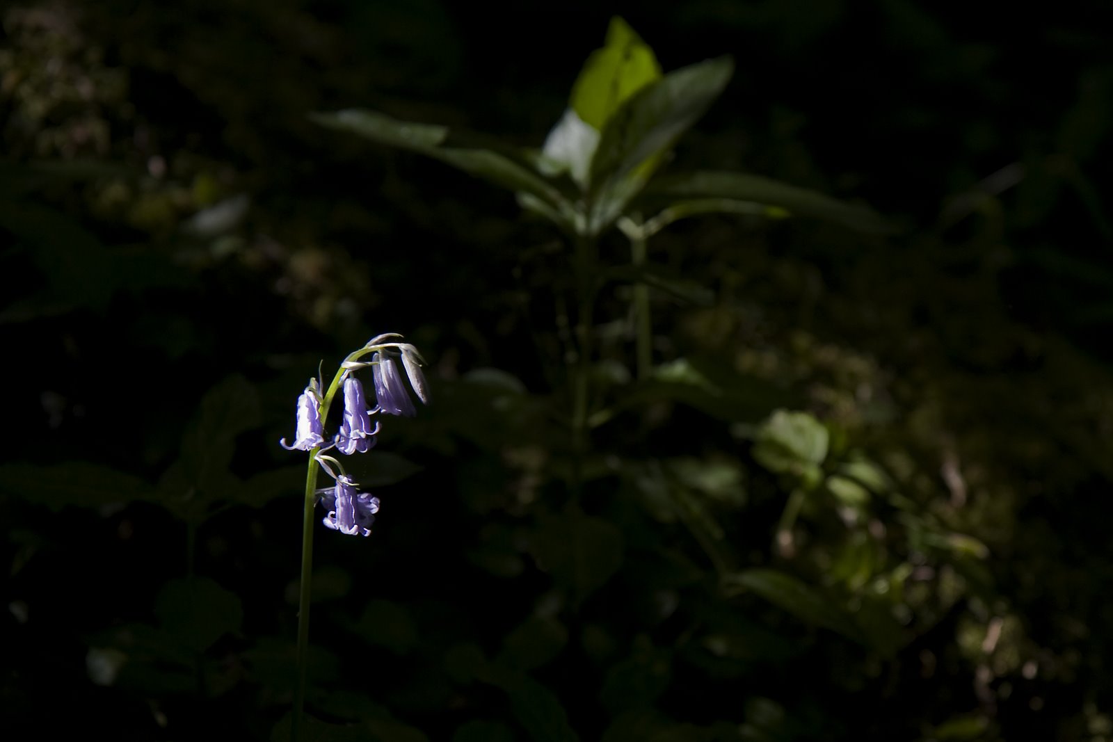 Dark places