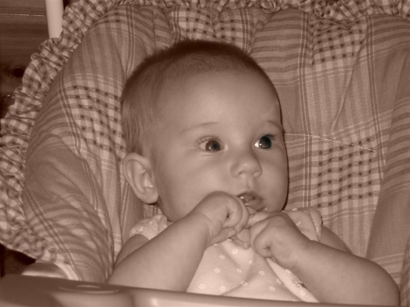 Robbi Leigh  9-3-08 008 Medium.jpg