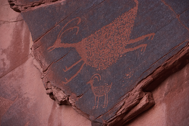 Leaping Petroglyphs